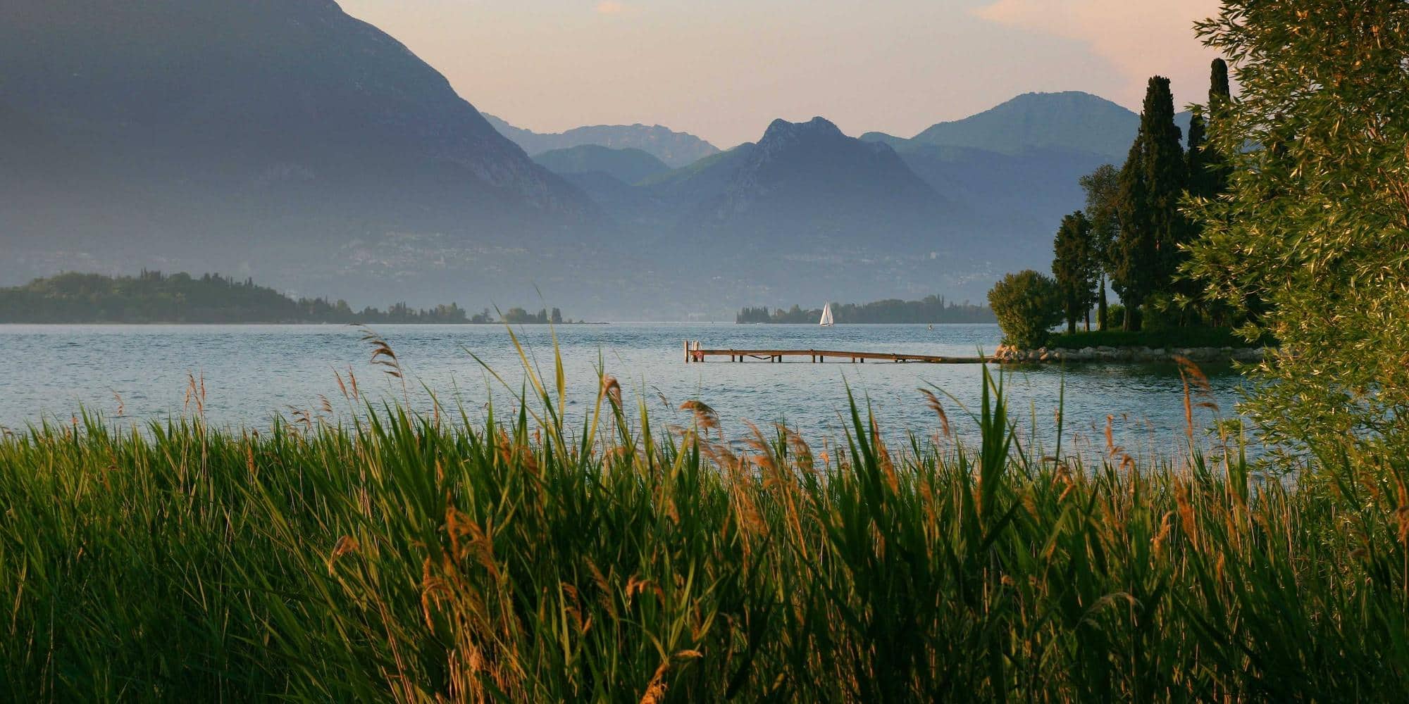 AI Data Collection from the Web (2026)