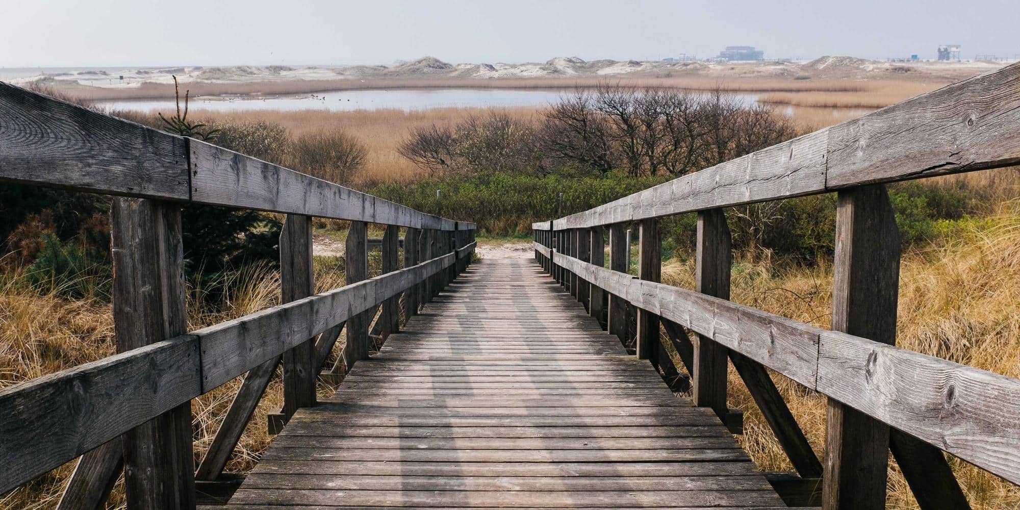 2026 年最佳网页抓取代理：深度对比与选型指南