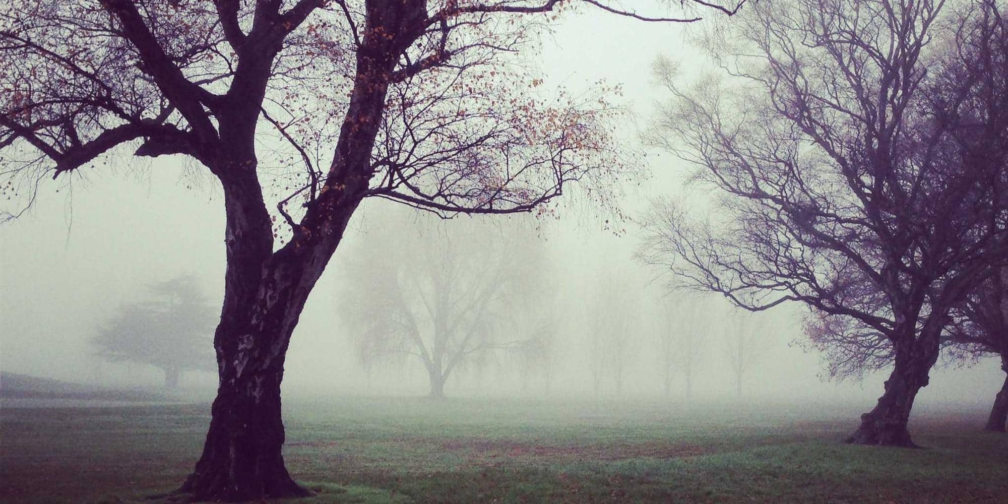 2026 年无头浏览器爬虫终极指南