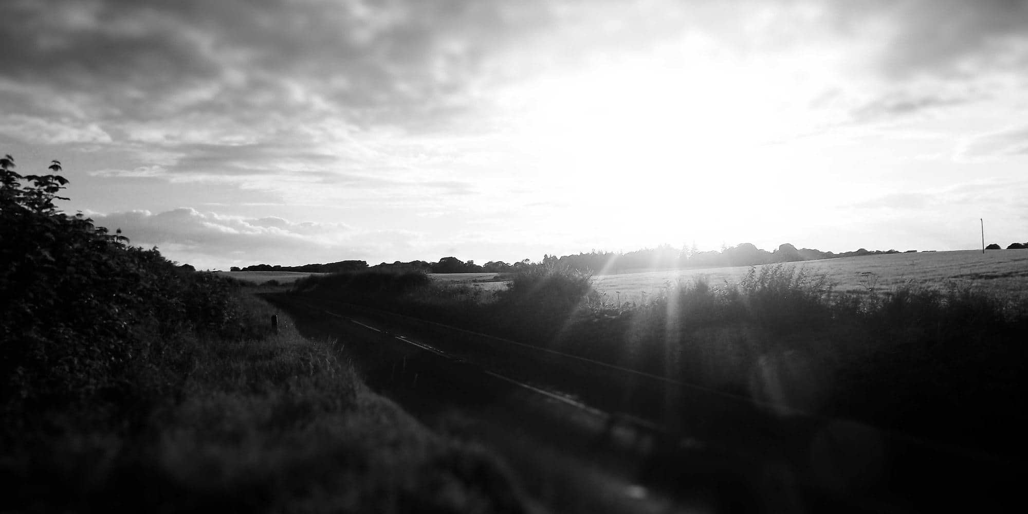 2026 年招聘信息抓取全指南：从行业洞察到自动化实战